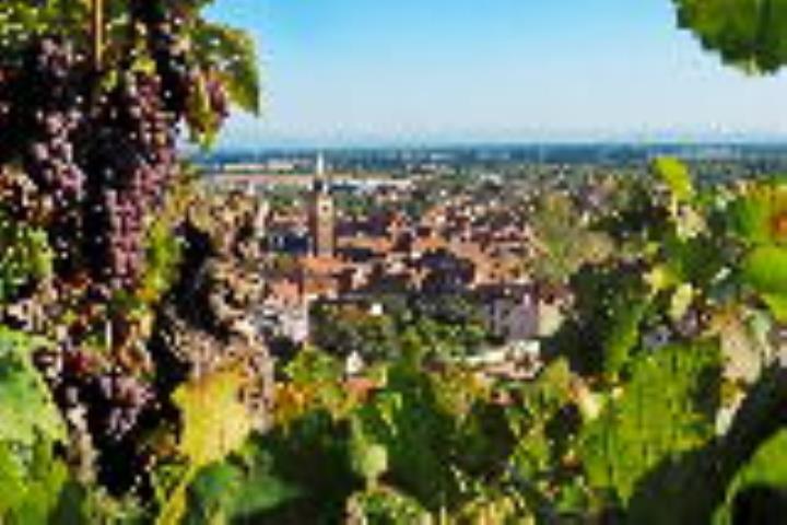 4 dagen Hotel A la Cour d'Alsace ****(*)
